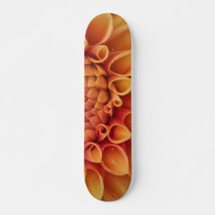 Skate Center Orange Dahlia Flower
