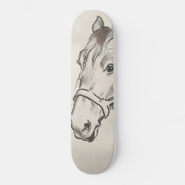 Skate Chefe de Cavalo (por Alfred Dehodencq)