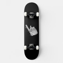 Skate Chinchila Relaxando