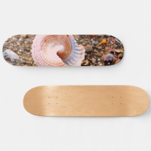Skate CHUMBO DE PINCO DE FOTO DE PRAIA bonito EM PEBULAS