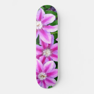Skate Clematis, flores rosa