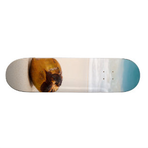 Skate Coco em uma praia tropical