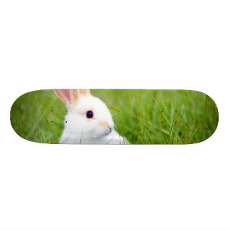 Skate Coelho branco
