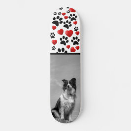 Skate Collie