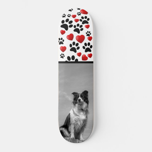 Skate Collie (Frente)