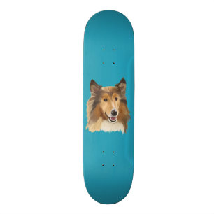 Skate Collie