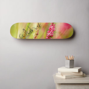 skate colorbush