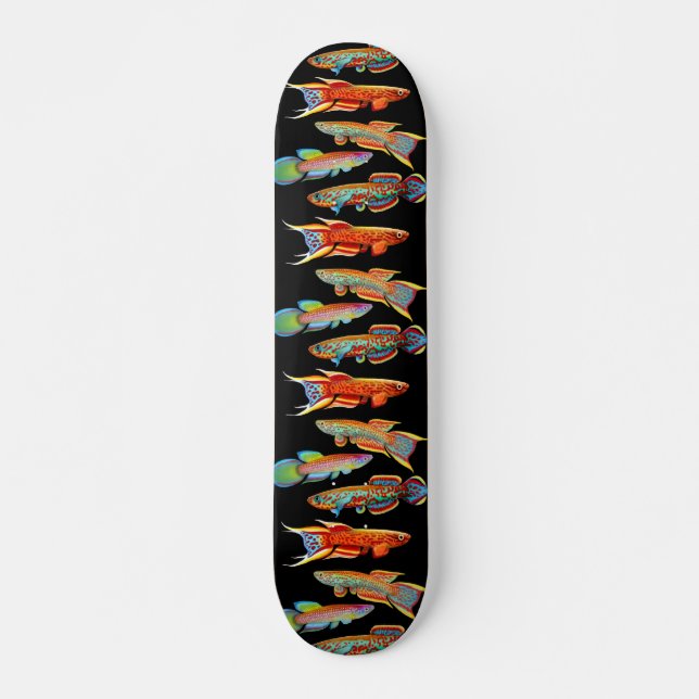 Skate colorido do Killifish (Frente)