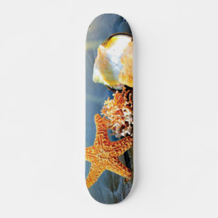 Skate Conchas marítimas e estrelas-do-mar na praia