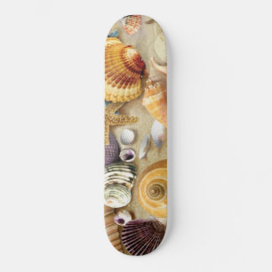 Skate Conchas marítimas na praia