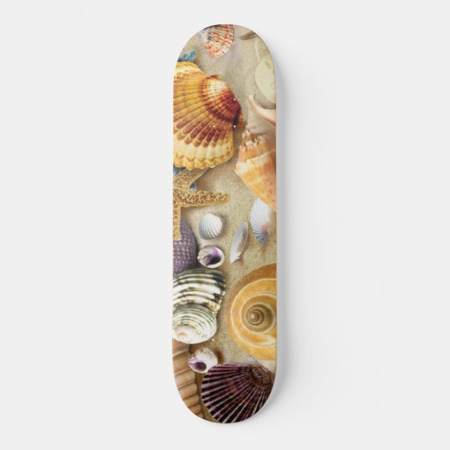 Skate Conchas marítimas na praia (Frente)