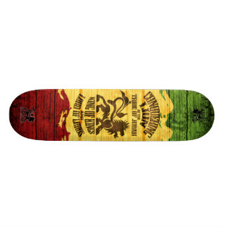 Skate conquistando o skateboard_pro do leão (3)