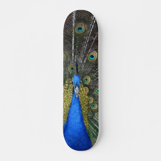 Skate Conselho de Peacock (Frente)