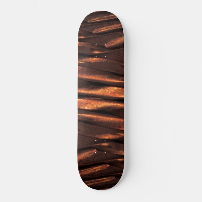 Skate Coppersian (Frente)