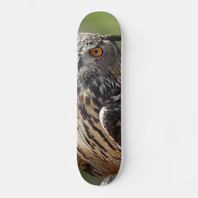 Skate Coruja de Eagle impressionante com olhos (Frente)