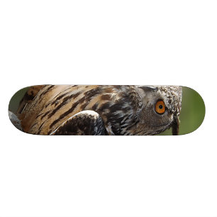 Skate Coruja de Eagle impressionante com olhos