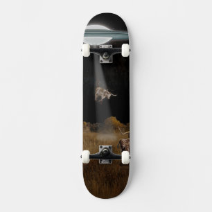 SKATE COWBOYS ESPACIAIS