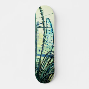 Skate Curvas azuis