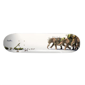 Skate da assimetria