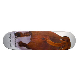 Skate Dachshund através da neve que precipita através da