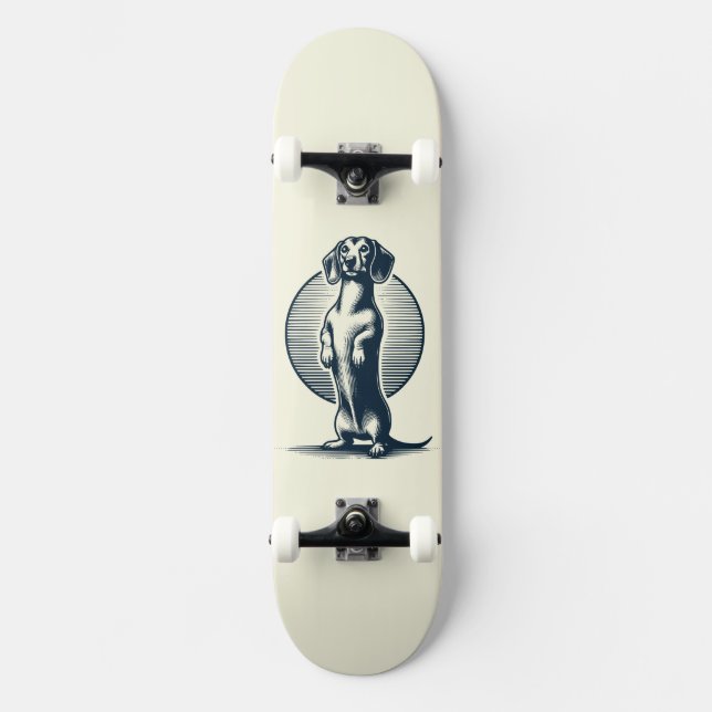 Skate Dachshund Permanente (Frente)