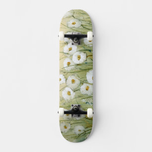 Skate Daisy Spring I