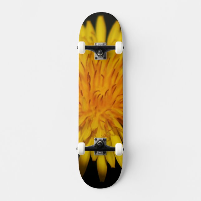 Skate Dandelion Flower sdcnm (Frente)