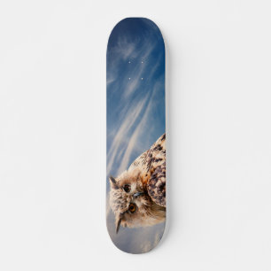 skate de coruja