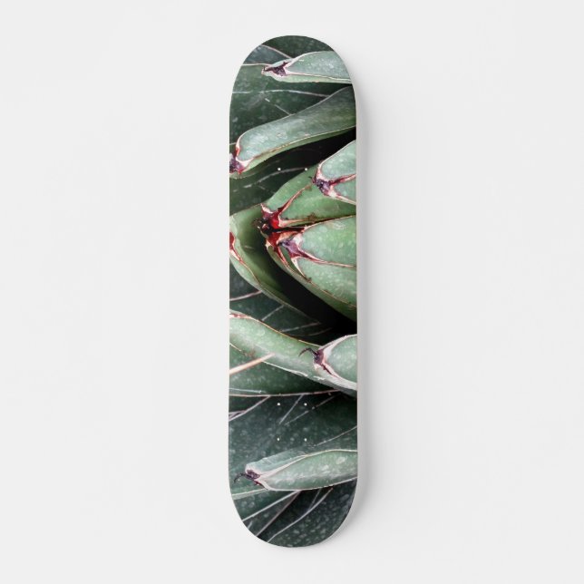 Skate de Fotografia da Agave Aloe Vera Plant (Frente)