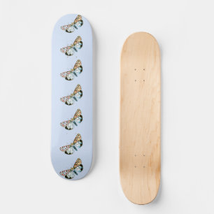 Skate Deiopeia pulchella - Mama-Chupa-Chupa-Chupa-Chupa-