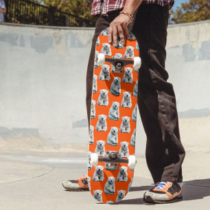 Skate Desenho de padrão de urso polar em laranja