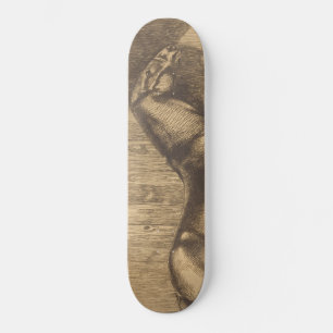 Skate Desenho de um Pôneo (por Paul-Albert Besnard)