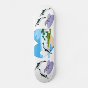 Skate Destino da água do oceano das palmas da praia dos 