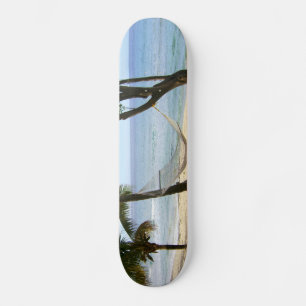 Skate Destino tropical do surf da areia da praia da água