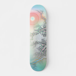 Skate do alcance