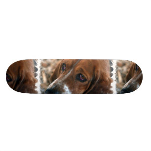 Skate do design de Basset Hound