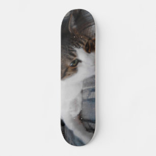skate do gatinho