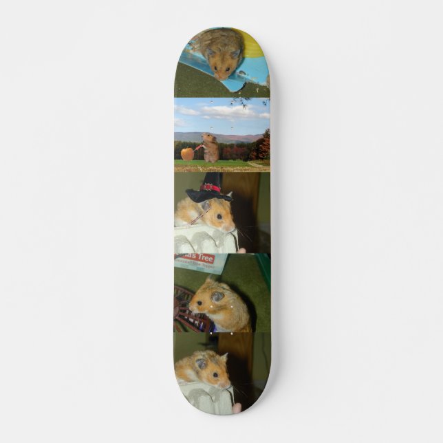 Skate do hamster (Frente)