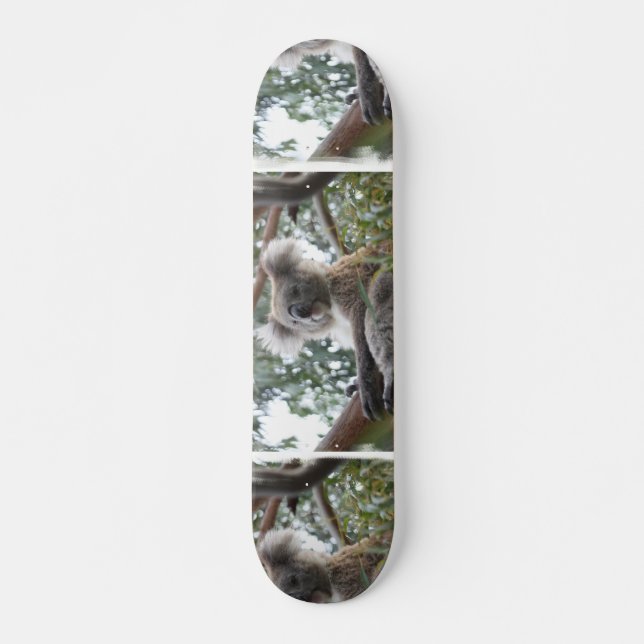 Skate do Koala (Frente)