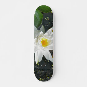 Skate do lírio de água branca