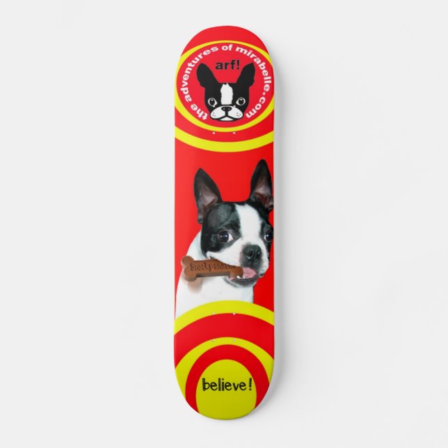Skate do mirabelle de Boston Terrier (Frente)