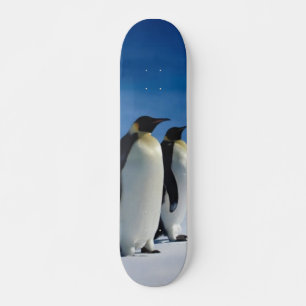 Skate do pinguim