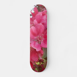 skate do ventilador da primavera