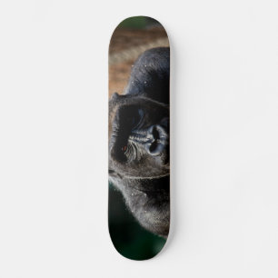 Skate Dominante Gorilla Ape