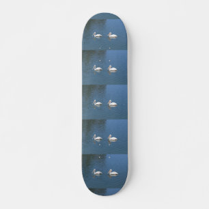 skate dos pares do pelicano