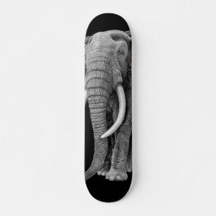Skate Elefante-Bull - Desenho em tábua-lápis