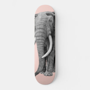 Skate Elefante-Bull - Desenho em tábua-lápis