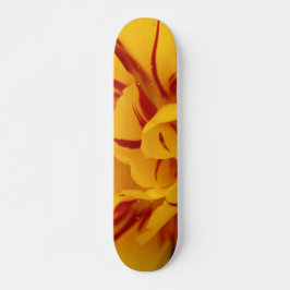 Skate Elegante Vermelho Floral Dourado Monsella Tulips