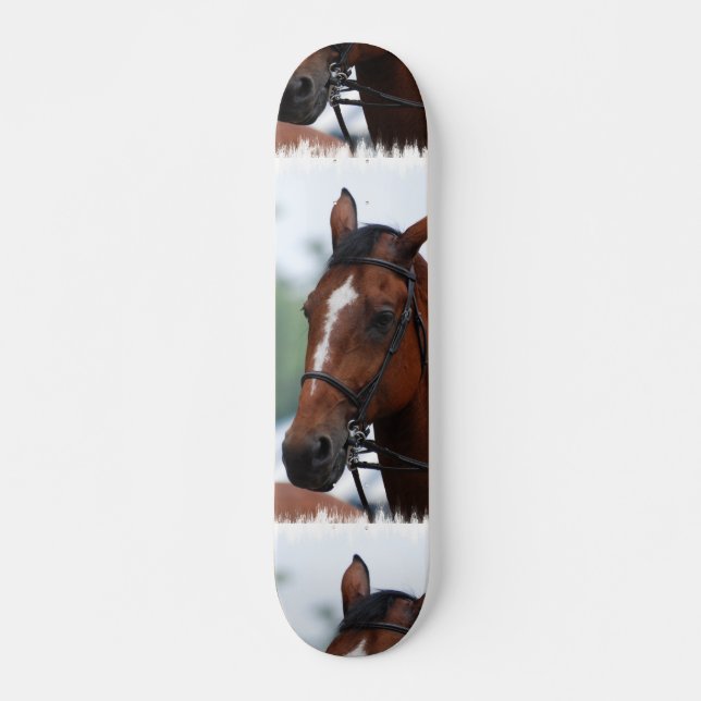 Skate equestre da mostra do cavalo (Frente)