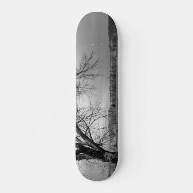 Skate Escala de Cinza de Árvore Antiga (Frente)